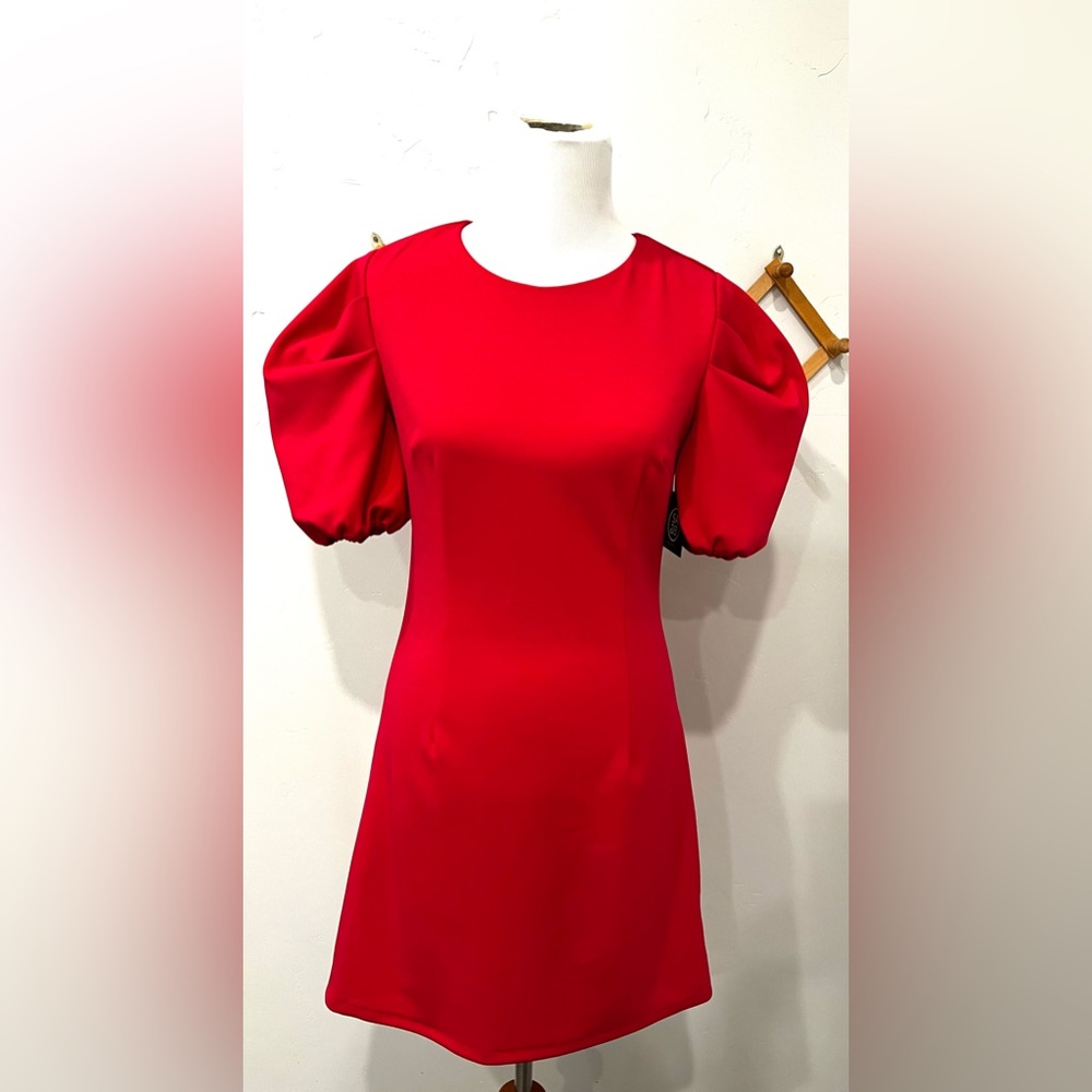 NWT Sage Collective Puff Sleeve dress size 4 in Fuchsia